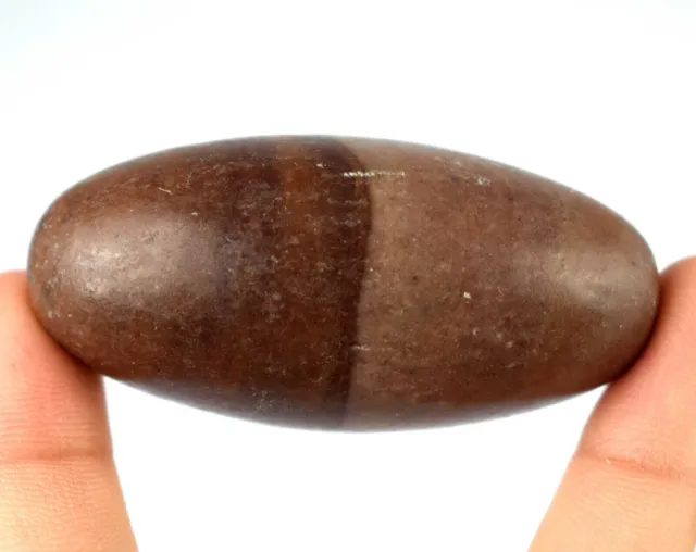 Narmada River 66.43 Gram/2.33" Natural Shiva Lingam Healing Stone Holy Purpose