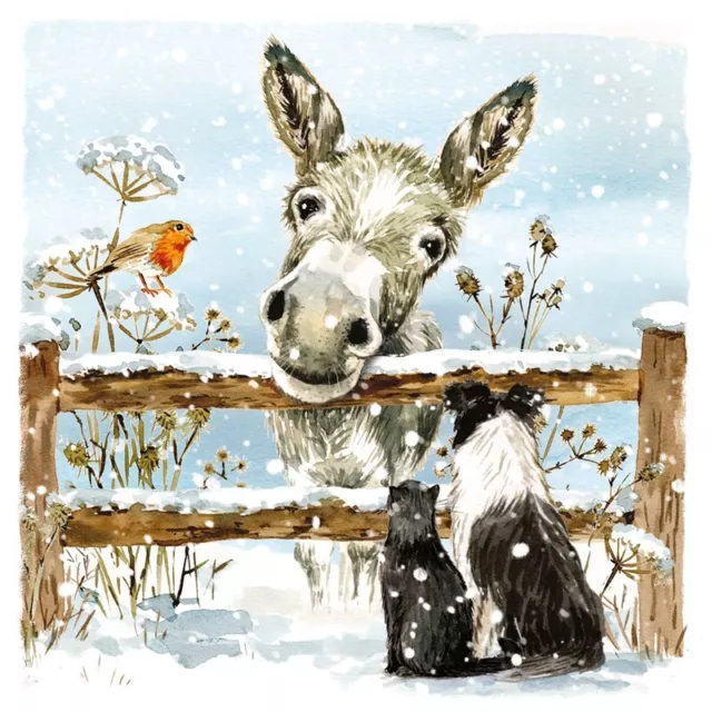 CHARITY Christmas Cards | Festive Donkey Robin & Collie Dog Snowscene  Pack 10