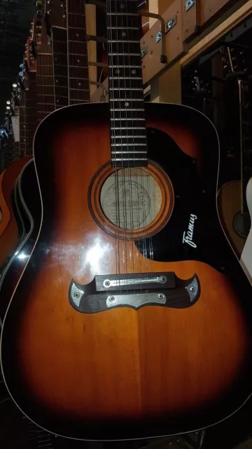 70's FRAMUS TEXAN 12 STRING ACOUSTIC - made in GERMANY