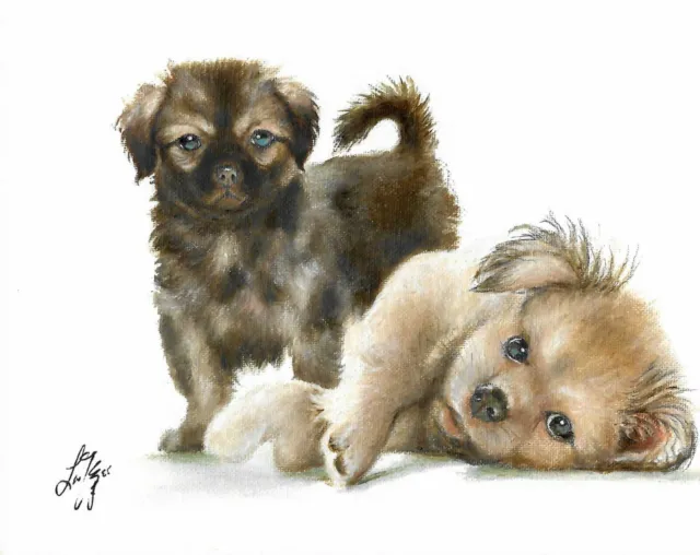 @ ORIGINAL Oil Portrait Painting TIBETAN SPANIEL Artist Signed Dog Puppy Artwork