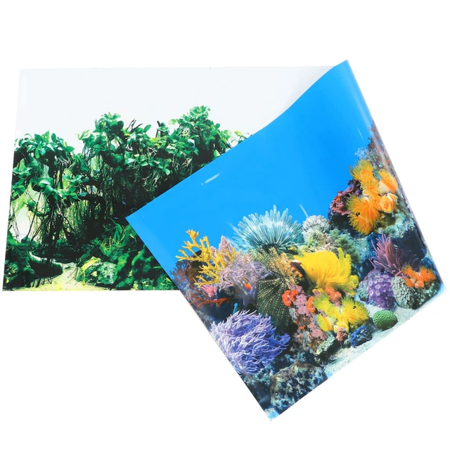 Fish Tank Background Tank Wallpaper Fish Tank Background Paper Reptiles Picture