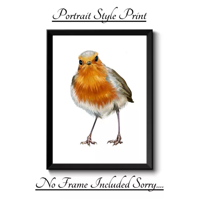 Robin Bird Fun A4 Print Picture Poster Wall Art Home Decor Unframed Gift New