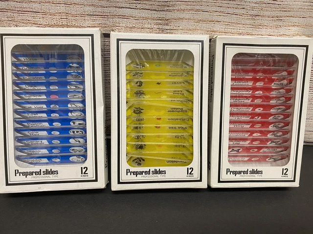 Prepared Slides Plant Slides Professional Type New/Open Box 12 Kinds per Box