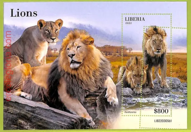 B0512 - LIBERIA - ERROR MISPERF Stamp Sheet - 2022 - Animals, Lions