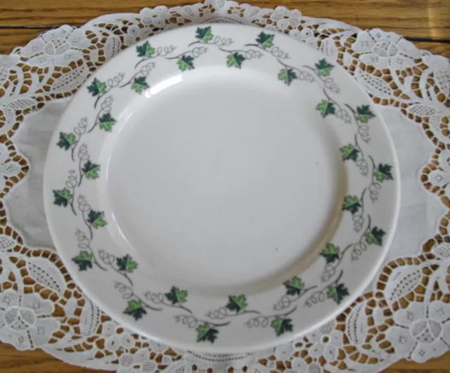 Vintage Syracuse China RESTAURANT GREEN LEAVES 9" Plate ~