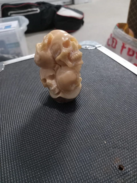 Skull Seed Carving