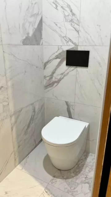 RIMLESS Toilet Suite BACK TO WALL FACED CLOSE COUPLED SOFT CLOSE Matte White