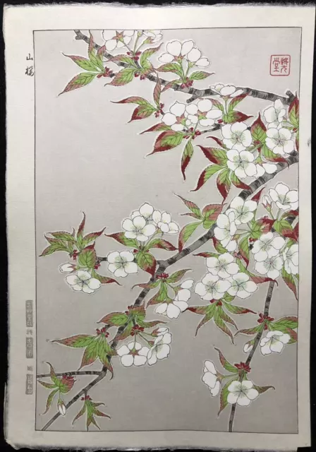 Ukiyoe Japanese Woodblock Print Mountain Cherry Shodo Kawarazaki Authentic Japan