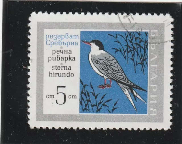 L5855 BULGARIE timbre N° Y&T 1630 de 1968 " Sterne des Fleuves " Oblitéré