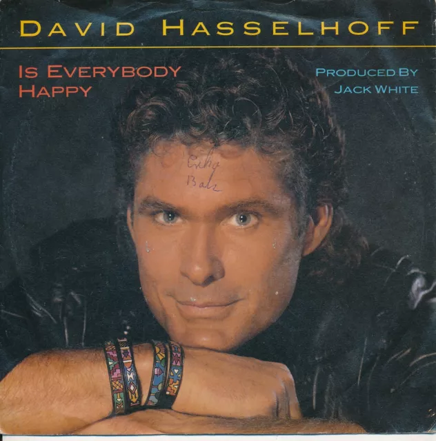 Is Everybody Happy - David Hasselhoff - Single 7" Vinyl 164/12