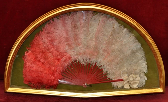 Abanico Con Varillaje En Madera Y Pais En Plumas De Marubu. Circa 1900.