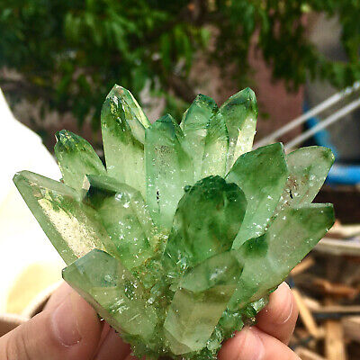 209G  The mineral samples of green crystal like clusters were found V386