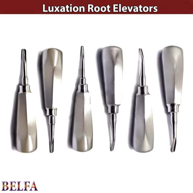 Set of 6 Dental Tooth Root Extraction Elevators Luxation Surgical Instruments