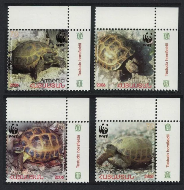 Armenia WWF Four-toed Tortoise 4v Corners 2007 MNH SG#605-608 MI#561-564