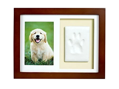 Paw Print Keepsake Wall Frame Kit, Dog or Cat Clay Pawprint Keepsa...