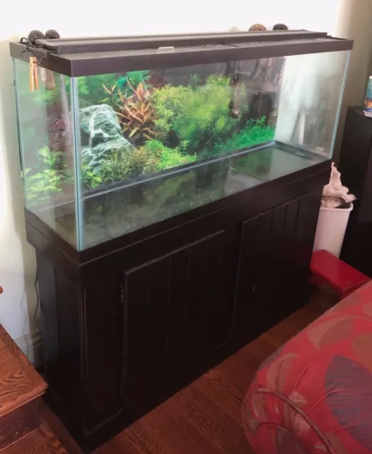 55 gallon fish tank with Stand, Filter, and Substrate. local pick up only.