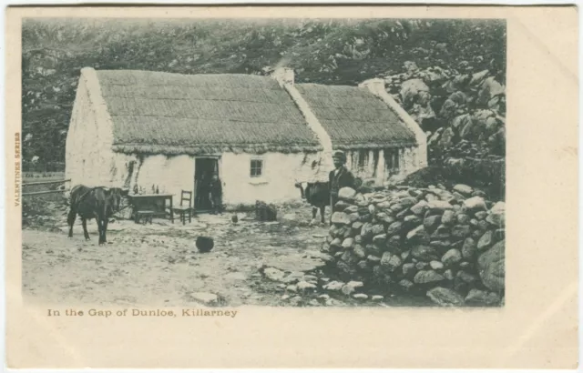 IN THE GAP OF DUNLOE, KILLARNEY - Co Kerry Postcard