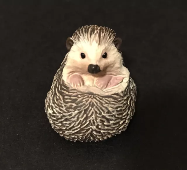 Kaiyodo Capsule Museum Q Manchurian Hedgehog Figure A