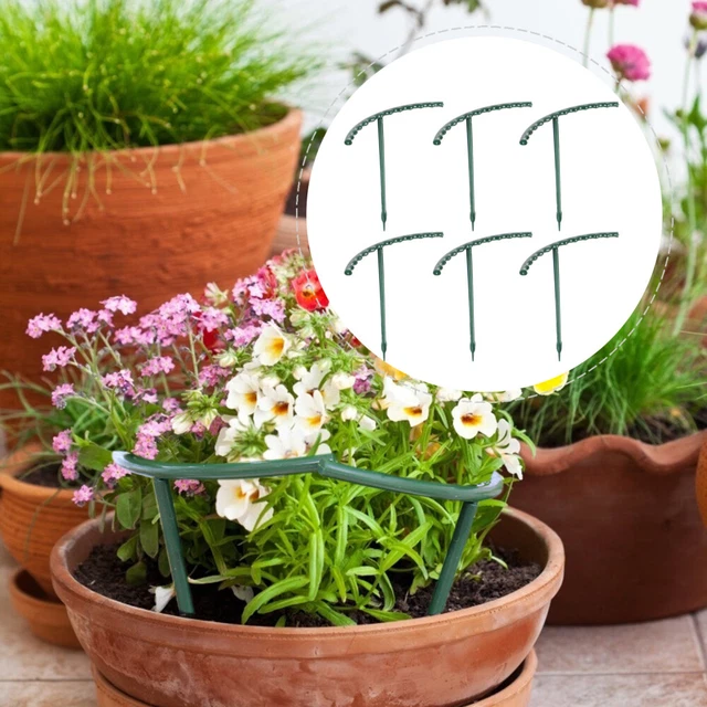 12 stücke Pflanze Unterstützung Halterung Anlage Kletterrahmen Phalaenopsis
