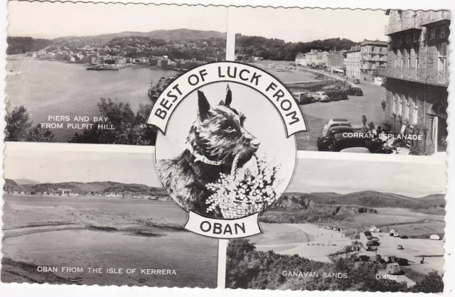 Scotty Dog Multiview, OBAN, Argyllshire RP