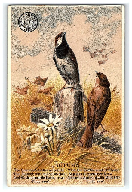 1880s Trade Autumn Cotton Card Clark's Spool Mile-End Victorian Birds Sparrow's
