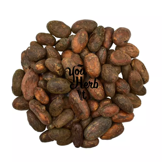 Granos de cacao criollos orgánicos calidad de alimentos crudos 25g-200g - Theobroma cacao 2