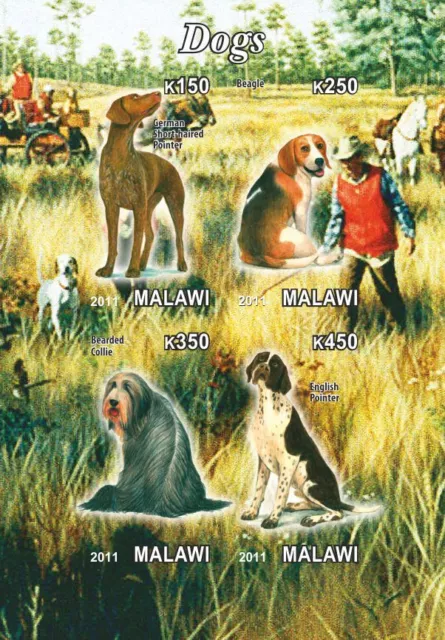 ** Dogs Pointer Collie Beagle Malawi 2012 MNH IMPERF  #C288