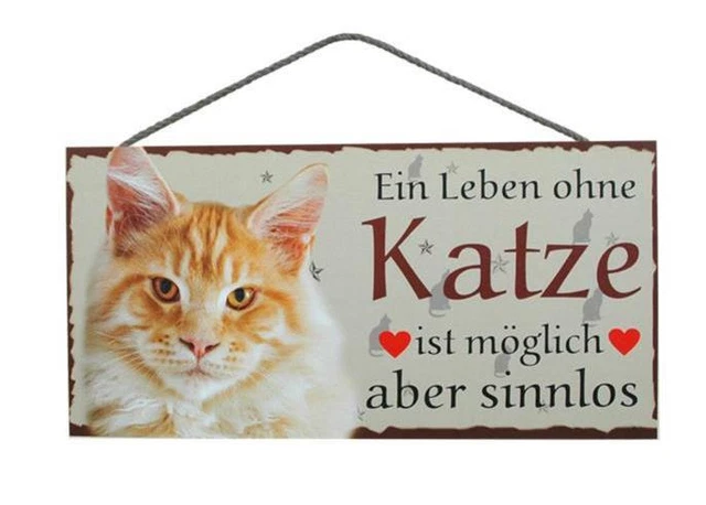 Ginger Cat Wooden Sign Door Sign Animal Sign Cat Wood Sign 9 13/16in