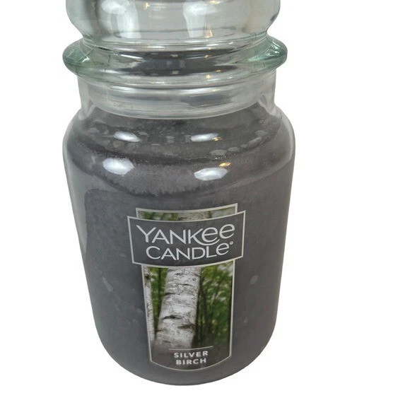 Silver birch Yankee candle in glass 22oz new