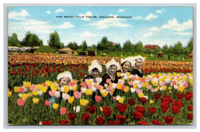 Van Bragt Tulip Fields, Holland Michigan MI Postcard