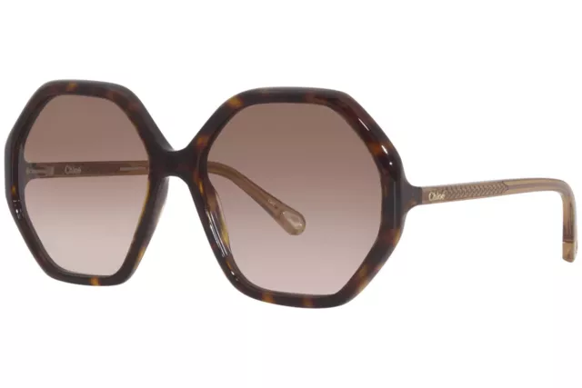 Chloe CH0008S 004 Sunglasses Women's Havana/Brown Gradient Lens Round Shape