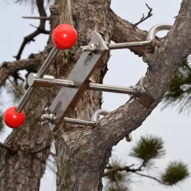 Modulateur de Branche de Bonsaï, Outil de Cintrage de Branche, Outil de Bonsaï