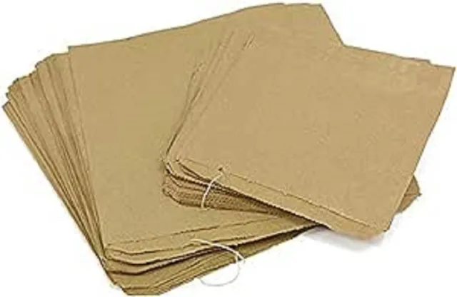 10" x 10" 100 Paper Food Bags Brown Kraft Strong  for Sandwiches Groceries etc