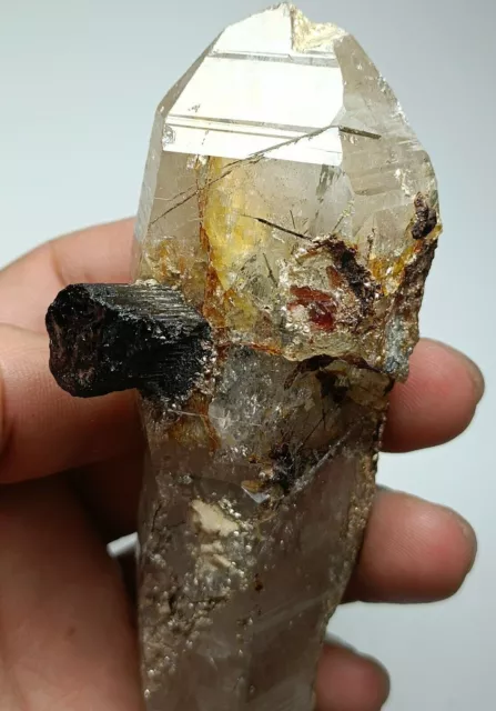 Sceptre de quartz fumé rutile combiné avec tourmaline noire et grenat...