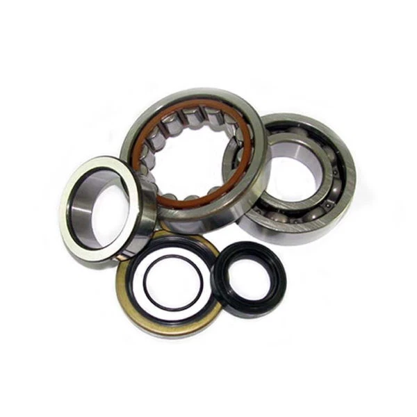 Kit De Roulement De Vilebrequin Pour KTM 50 Mini Adventure (2002-2007) - Référence 24-1101#3 - Neuf