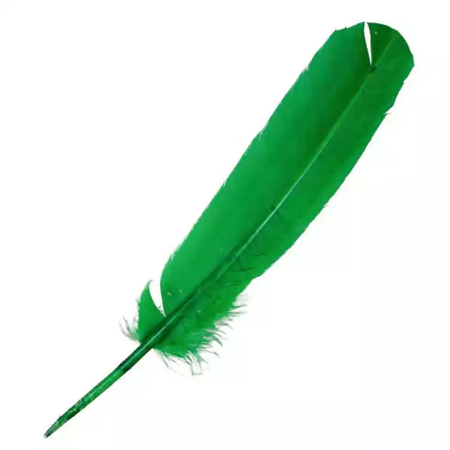 Plumes palette de dinde - 25 à 30 cm - Lot de 5 - Couleur plumes: Vert vif