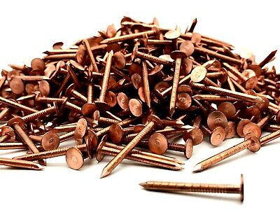 HEAD 25 Solid Copper Nails Clout Head Tree Stump Killer Roofing DIY 7 Sizes Available 