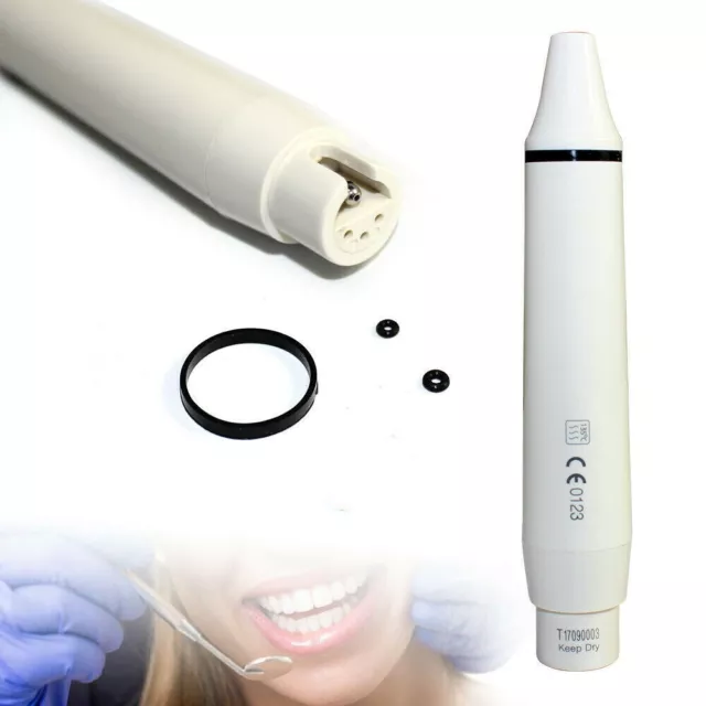 Pieza de mano ultrasónica escalador piezoeléctrico dental se adapta a DTE desmontable