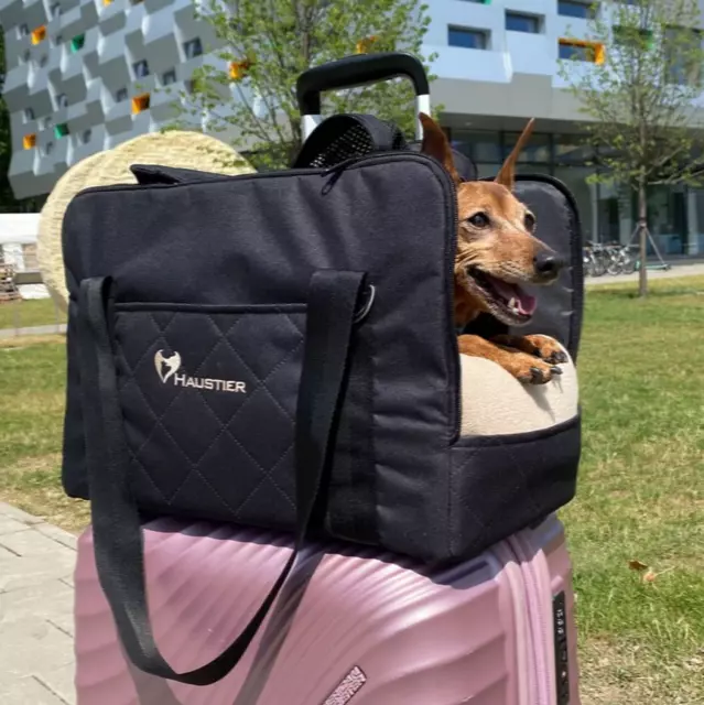 Small Dog Carrier Bag Airline Travel Tote Stylish Puppy Carry Handbag With Mesh