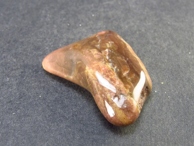 Rare Bustamite Piece from South Africa - 1.4" - 16.3 Grams