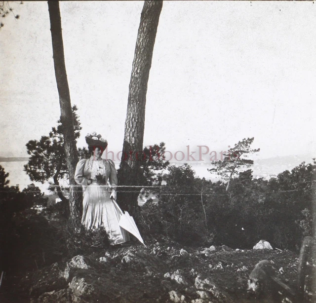 FRANCE Femme Mode c1900 Photo Stereo Plaque de verre V26L9n1