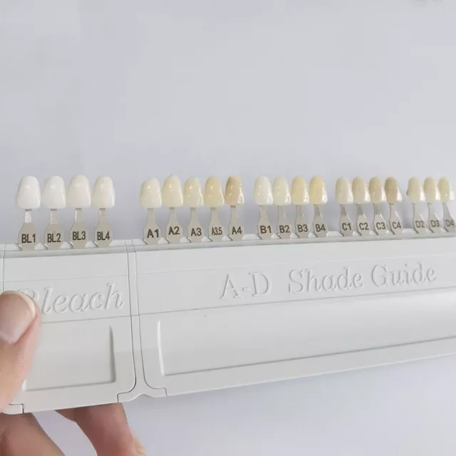 lvoclar Vivadent Dental Teeth Shade Guides A-D 20 Colors Porcelain Tooth IPS Die