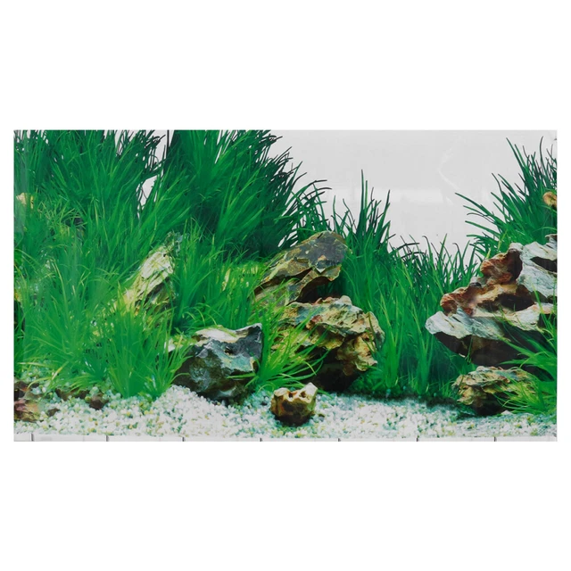 Aquarium Backdrop Fish Tank Stickers Photo Bling Decor Picture