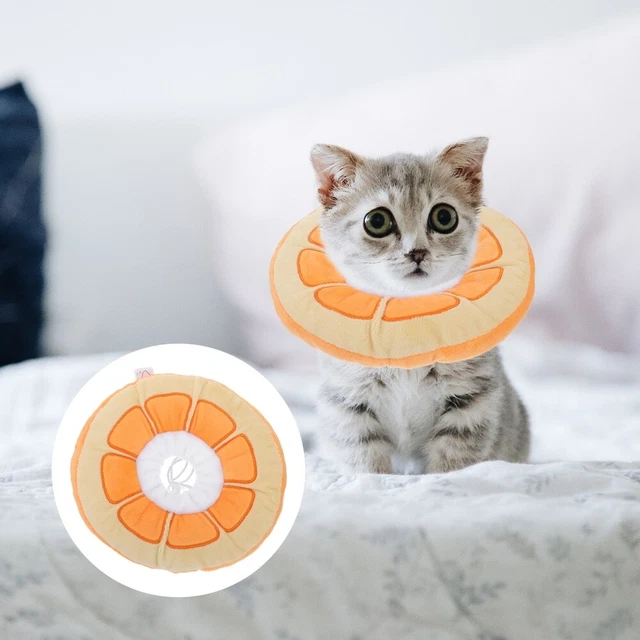 Cat Surgery Recovery Collar Elizabeth Circle Collars Large Breed Dogs Pet