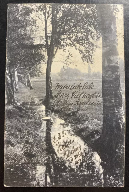 1904 Russia RPPC Postcard Cover To Marienbad Germany Forest View