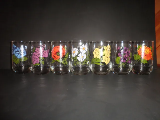 Vintage Brockway Flowers of Month Beverage Tumbler Glasses Lot of 7 Botanical