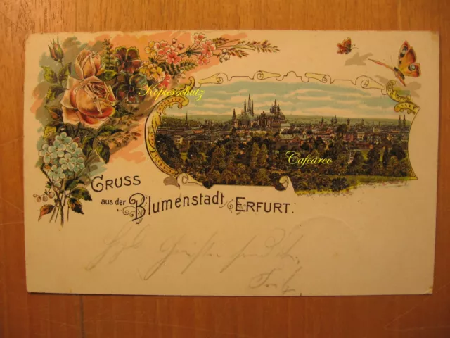 1901 alte Litho AK Gruss aus der Blumenstadt Erfurt