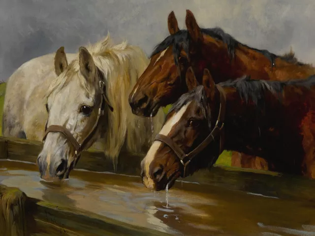 Three Horses at the Watering Hole 28 x 21 in Roll Canvas Art Print Horse Portrai