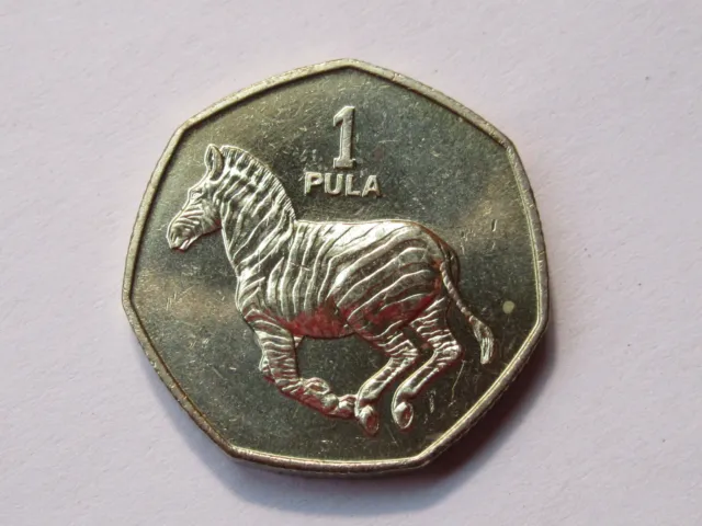 1991 Botswana coin  1 Pula  ZEBRA  unc beauty  nice large coin  AFRICA ebayship