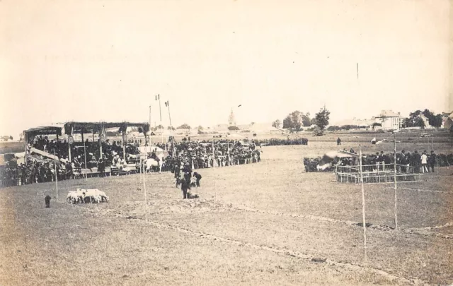 Cpa 28 Carte Photo D'une Vue De Beauce / Marche Aux Bestiaux / Concours Agricole